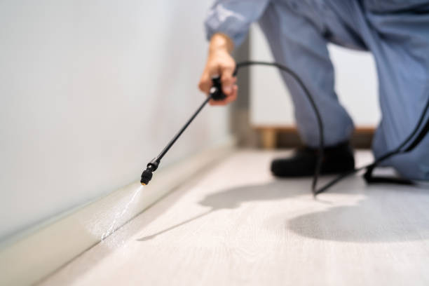Rodent Entry Point Assessment in Montgomeryville