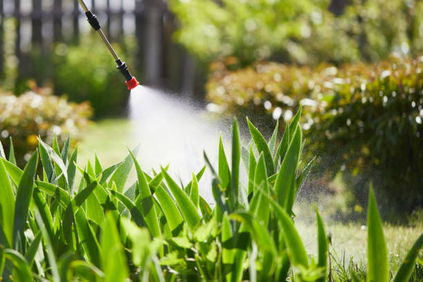 Tamper-Resistant Bait Stations for Rodents in Montgomeryville