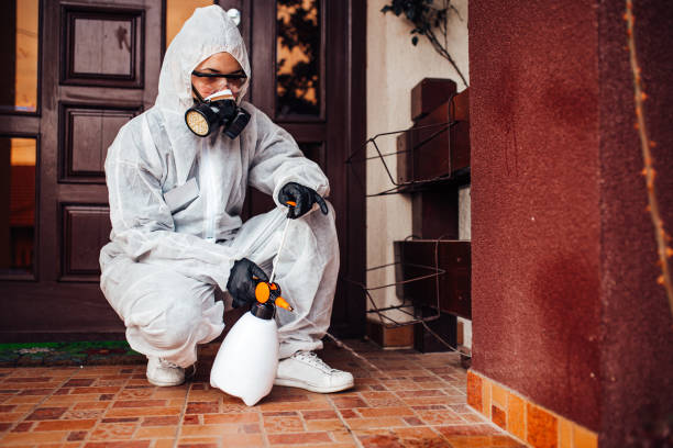 Attic and Crawl Space Rodent Treatment in Montgomeryville