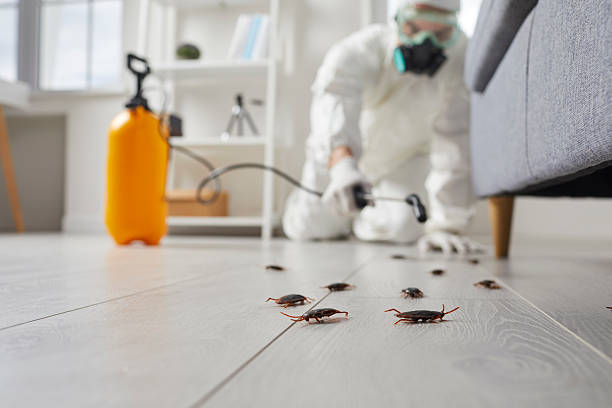 Commercial Rodent Management in Montgomeryville